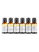 FSMA-T Smoke Fluid Scent Additive Tropical